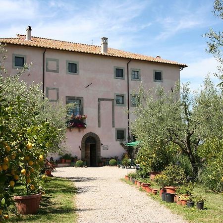 Agriturismo Le Caselle Hotel Viterbo Zewnętrze zdjęcie